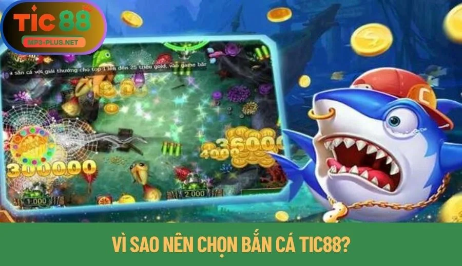 4 Lý Do Bắn Cá Tic88 Được Yêu Thích Số 1 3 Vì sao nên chọn bắn cá Tic88?