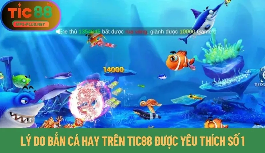 4 Lý Do Bắn Cá Tic88 Được Yêu Thích Số 1 2 4 lý do bắn cá hay trên Tic88 được yêu thích số 1 hiện nay