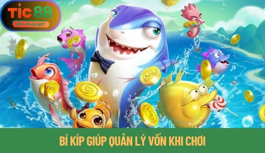 Cách Quản Lý Vốn Khi Chơi Bắn Cá Tic88 Hay Cho Tân Binh 3 Bí kíp giúp quản lý vốn khi chơi