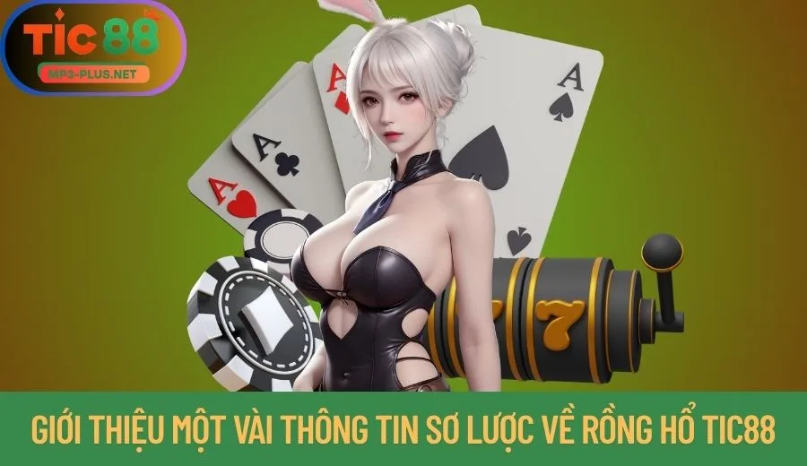 Rồng Hổ Tic88: Chia Sẻ Vài Mẹo Hay Nâng Cao Tỷ Lệ Thắng 1 Giới thiệu một vài thông tin sơ lược về Rồng Hổ Tic88