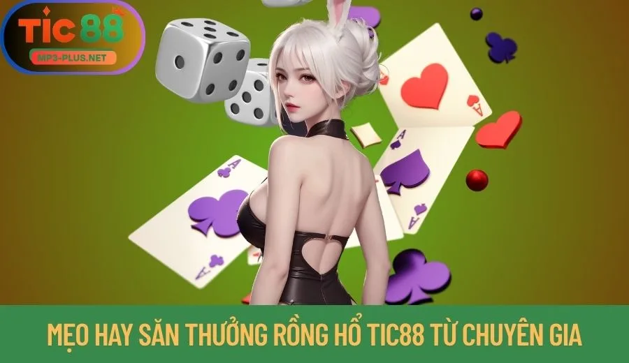 Rồng Hổ Tic88: Chia Sẻ Vài Mẹo Hay Nâng Cao Tỷ Lệ Thắng 3 Mẹo hay săn thưởng Rồng Hổ Tic88 từ chuyên gia