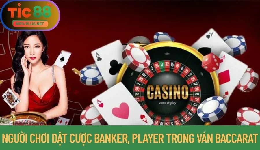 Mẹo Chơi Casino Tic88 Thắng Nhanh, Nhận Nhiều 2 Người chơi đặt cược Banker, Player trong ván Baccarat