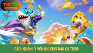 Cách Quản Lý Vốn Khi Chơi Bắn Cá Tic88 Hay Cho Tân Binh