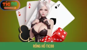 Rồng Hổ Tic88: Chia Sẻ Vài Mẹo Hay Nâng Cao Tỷ Lệ Thắng